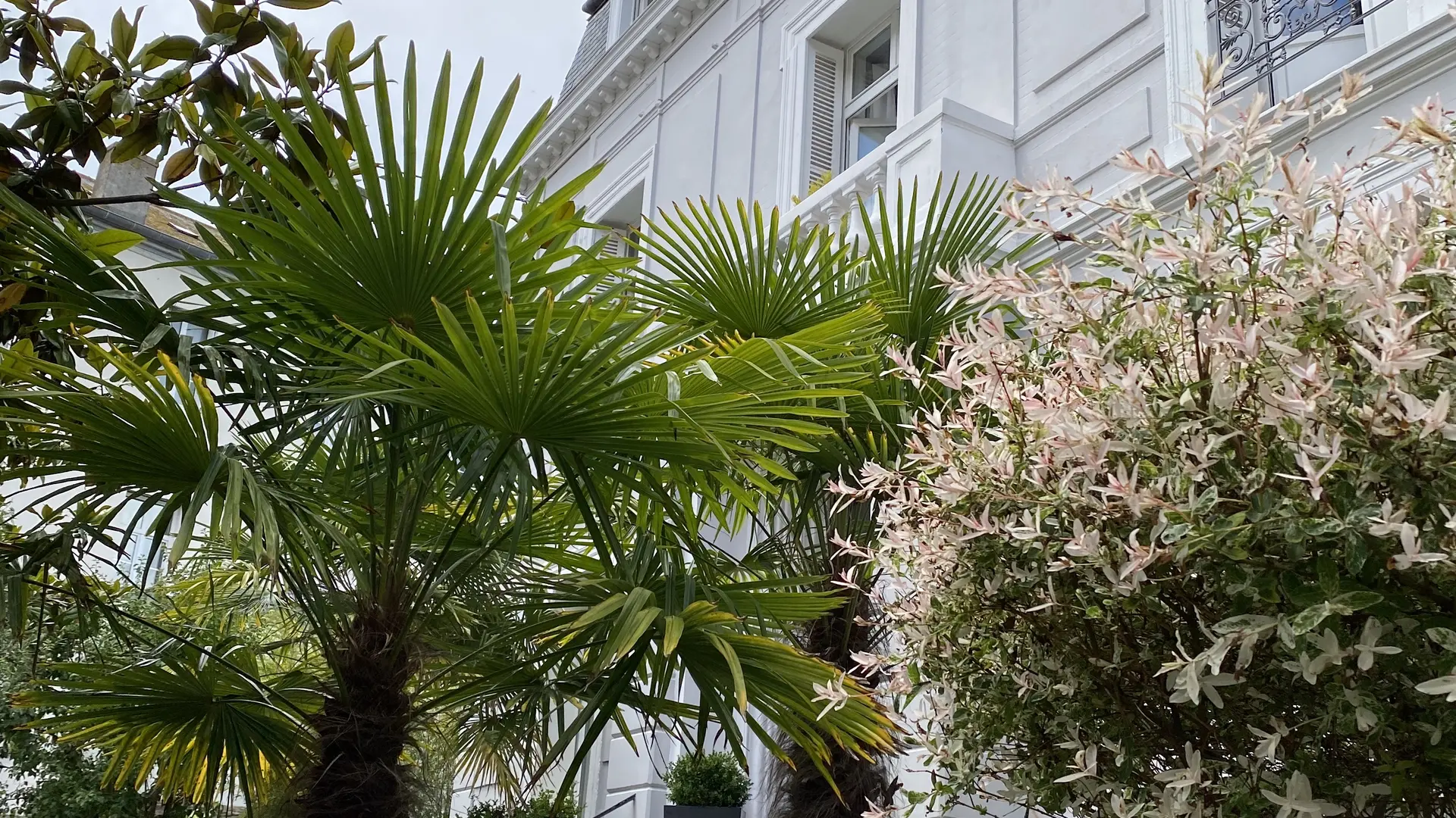 Chambres d'hôtes - Villa Louisa - Saint-Malo