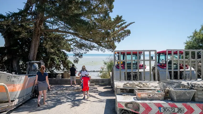 ferme-marine-Cancale