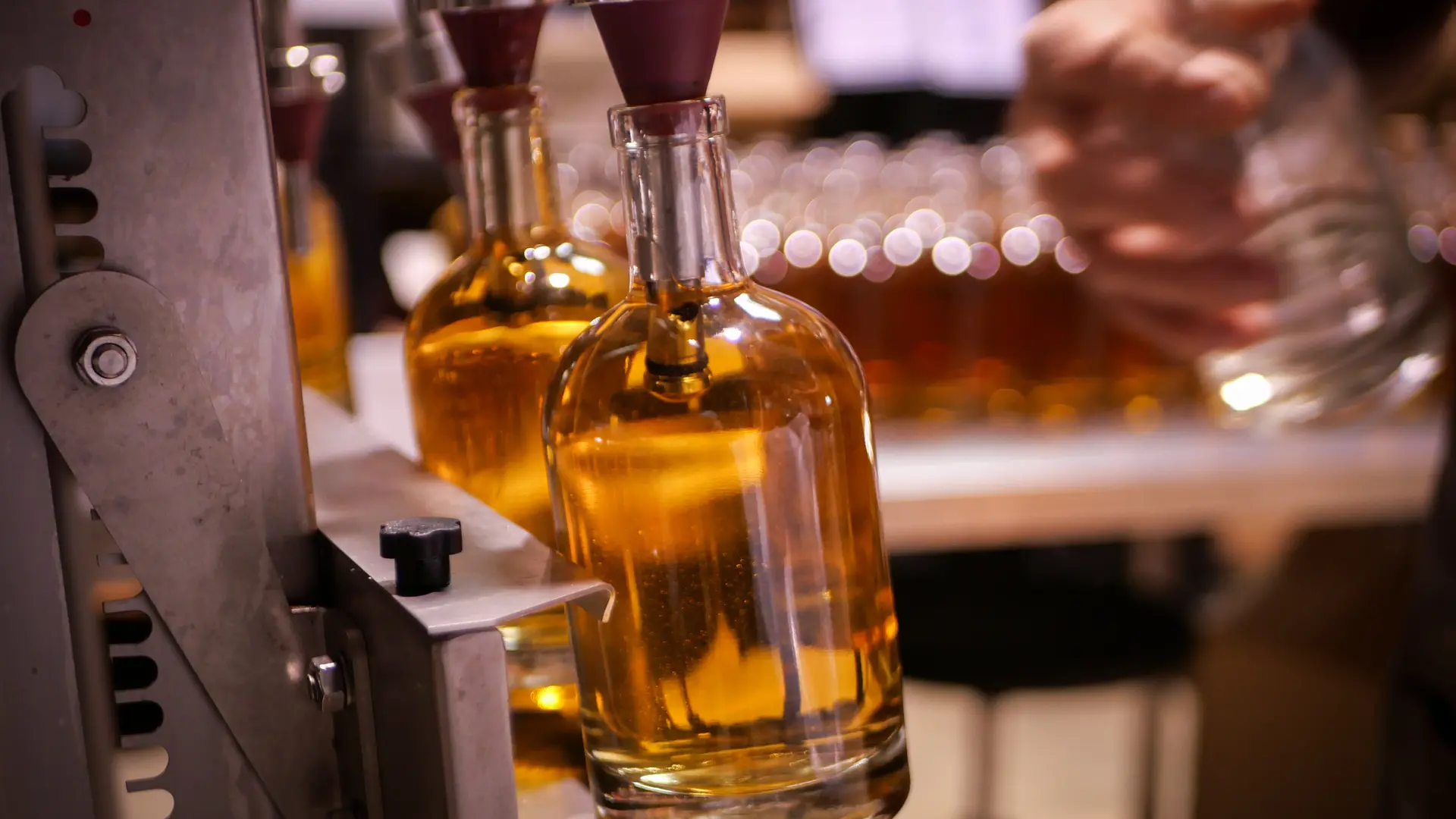 Visite d'entreprise - Rhumerie Saint Jouan