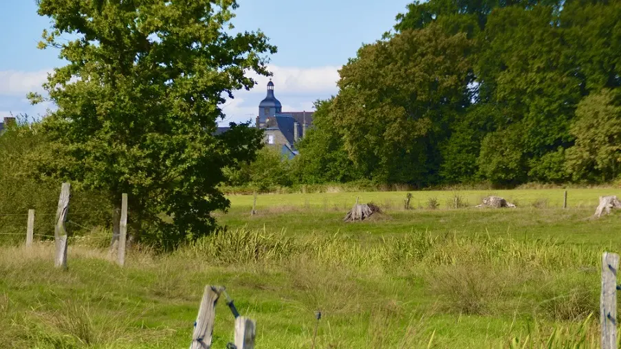 Vue champêtre sur Saint-Brice-en-Coglès