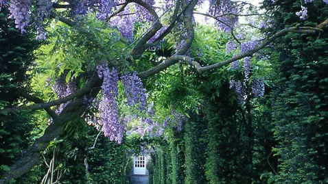 Parc du Château de la Ballue