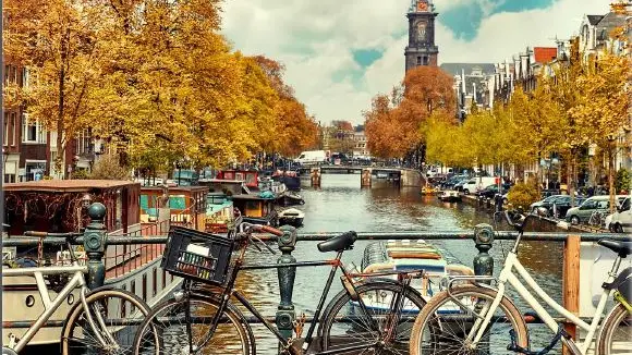 AMSTERDAM - Last Minute Life