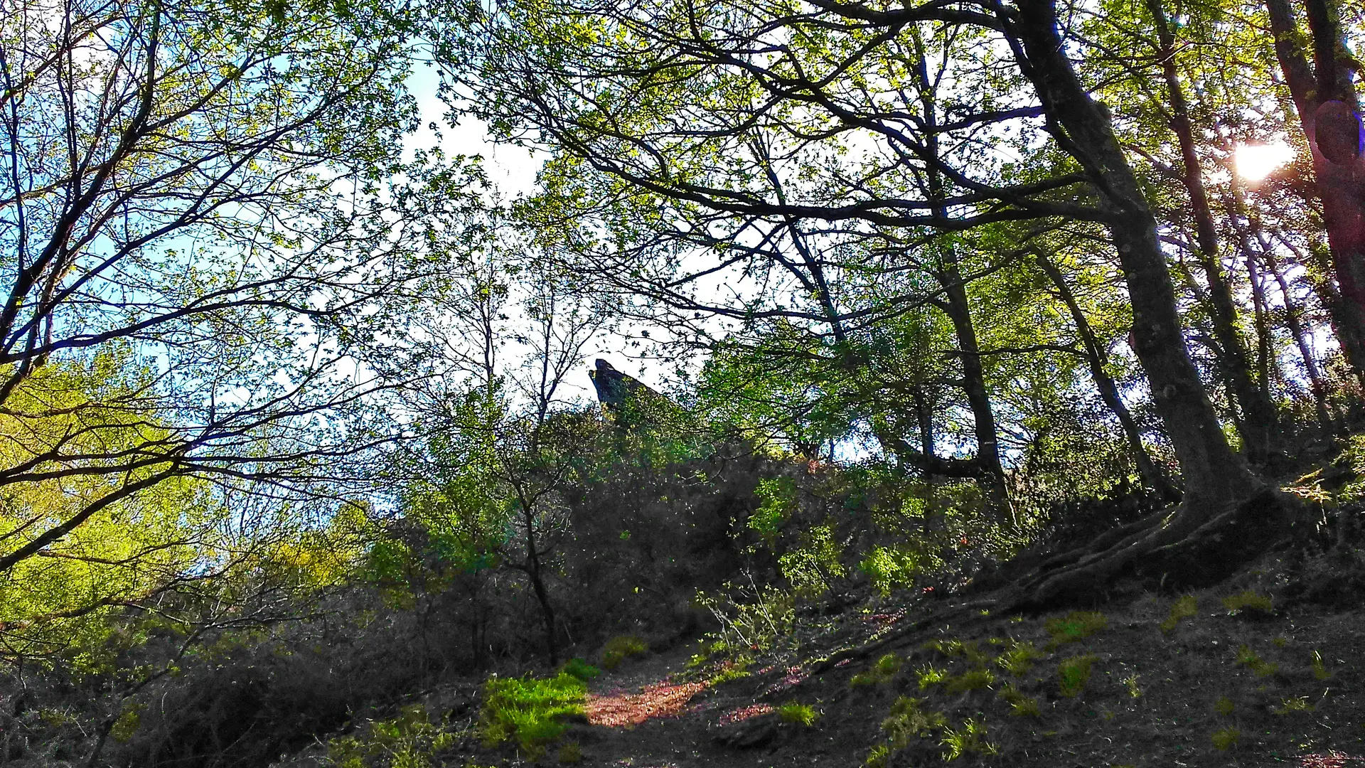 Chambre au Loup
