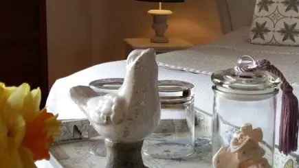 Chambres d'hôtes-Jardin-Des-Simples-Mont-Dol