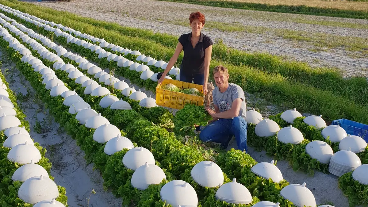 delices-de-la-campagne Le Vivier sur Mer