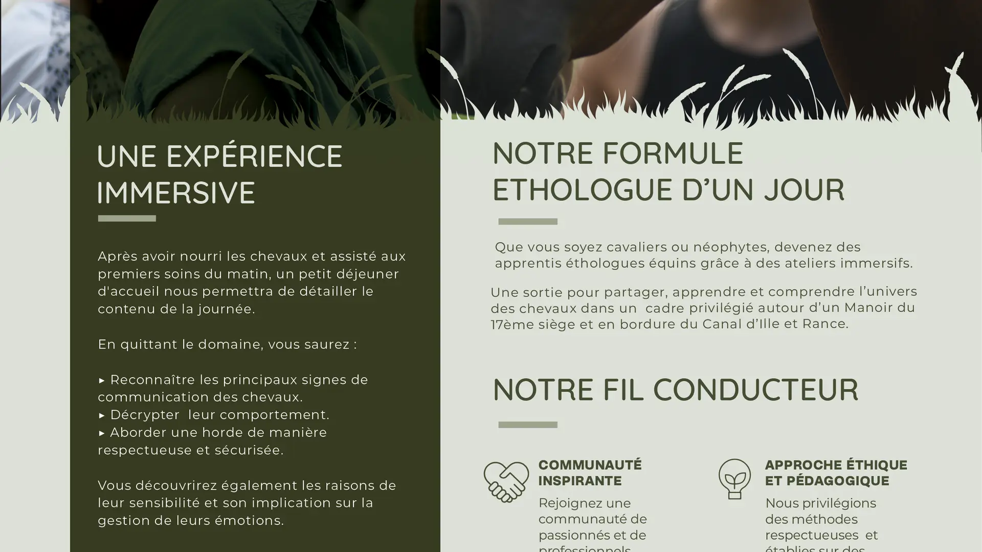 ethologue-d'un-jour-flyer