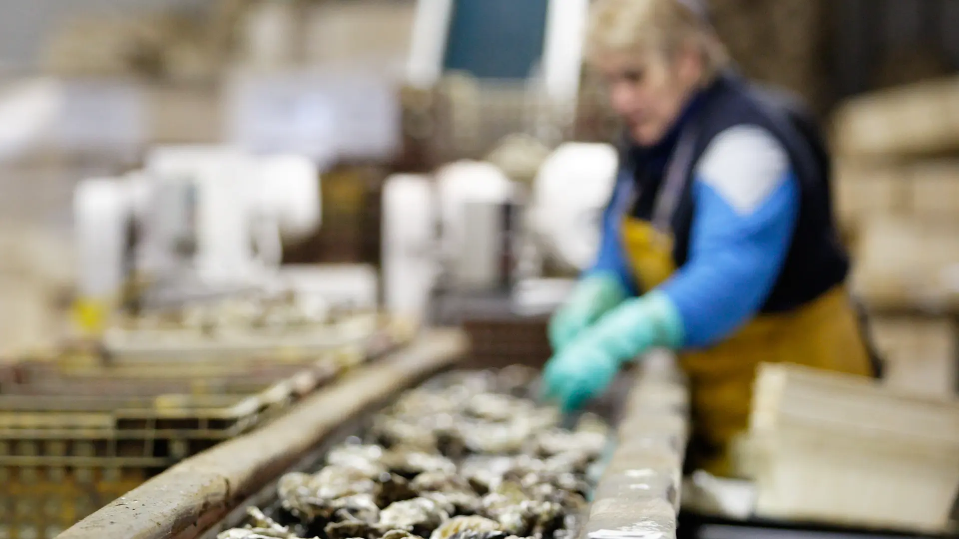 La Ferme Marine de Cancale