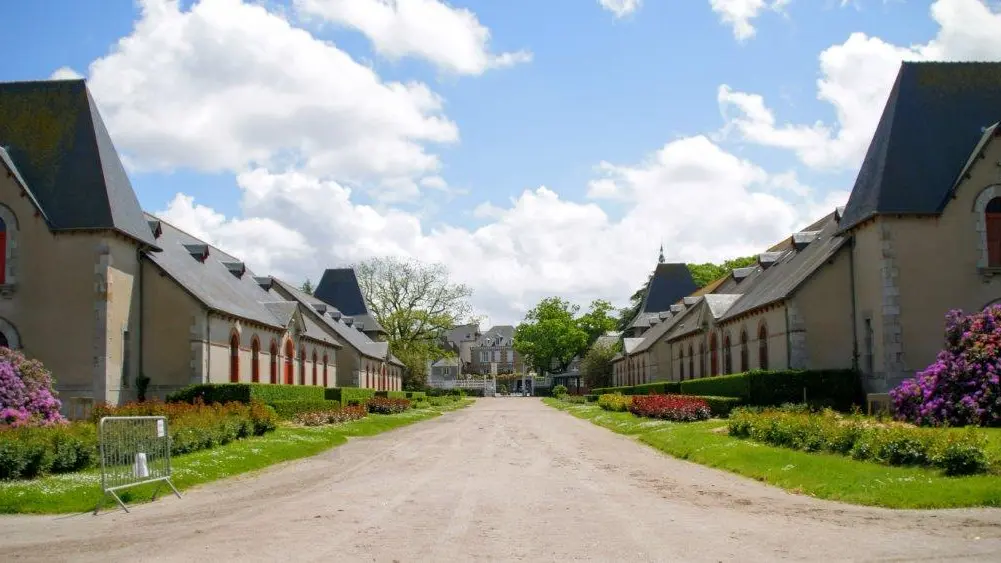 haras-2