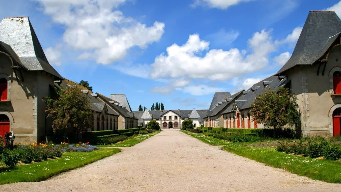 haras-2015