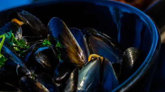 moulesfrites_pmdr