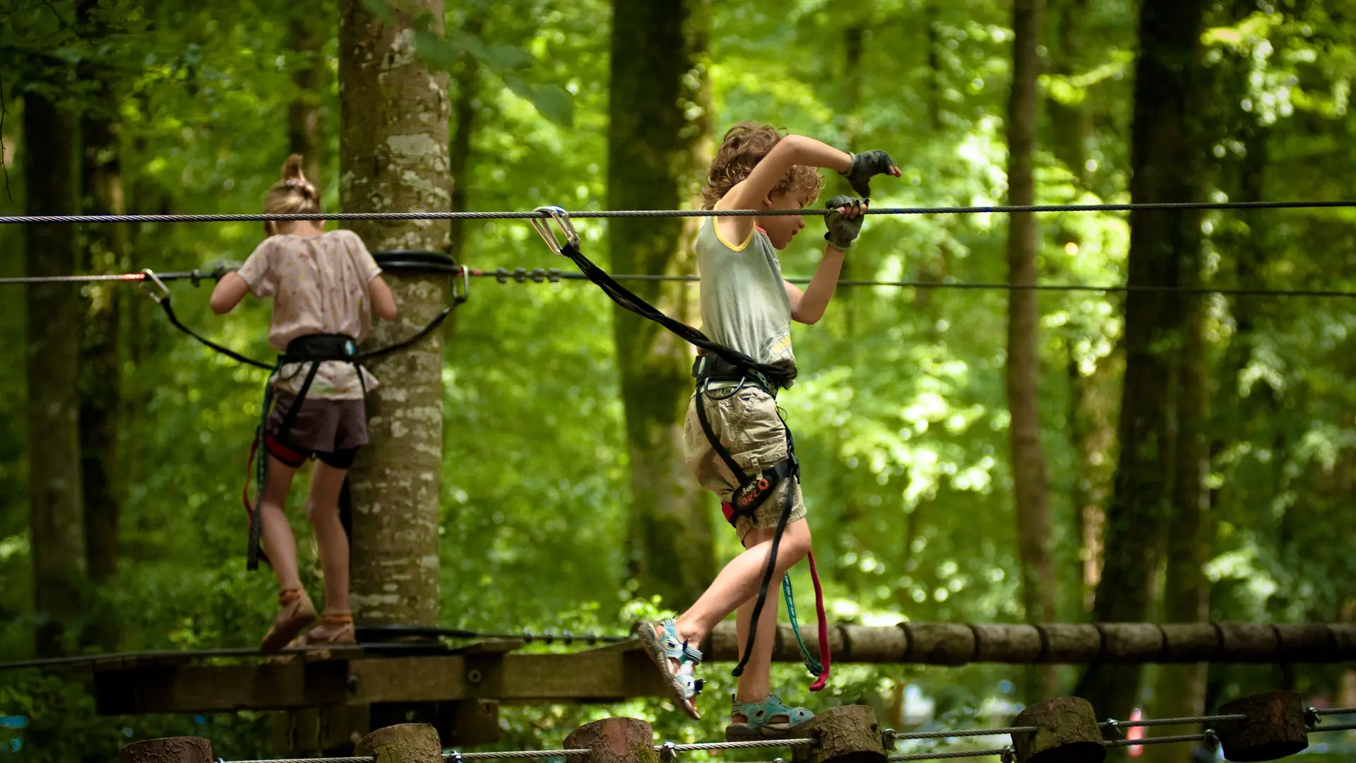 parc-des-grands-chenes-foret-villecartier