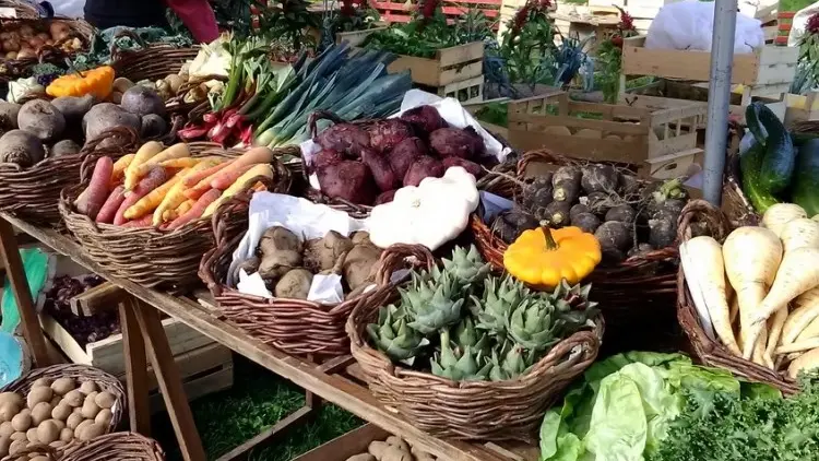 poiriers sous geslin légumes fruits 1