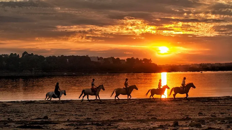 Poney Club - Aelis Poney Club - Saint-Malo