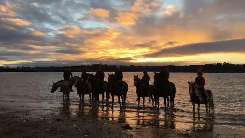 Poney Club - Aelis Poney Club - Saint-Malo