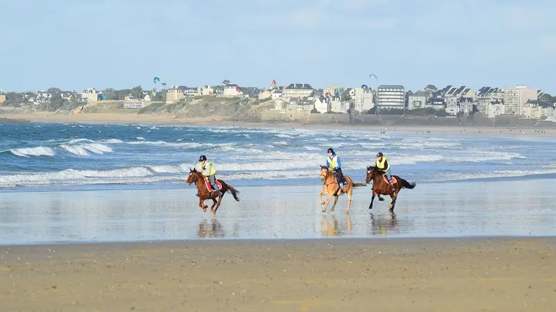 Poney Club - Aelis Poney Club - Saint-Malo