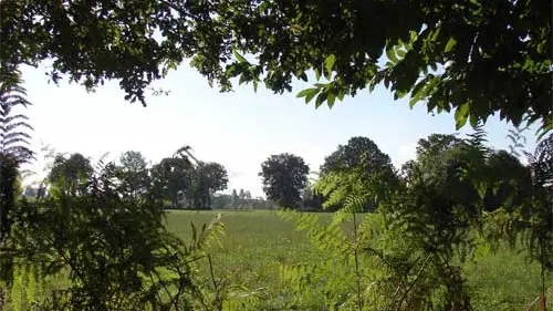 saint-georges-patrimoine-rural