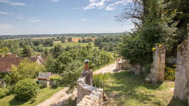 Gites de la Rochère - Le Vigneron