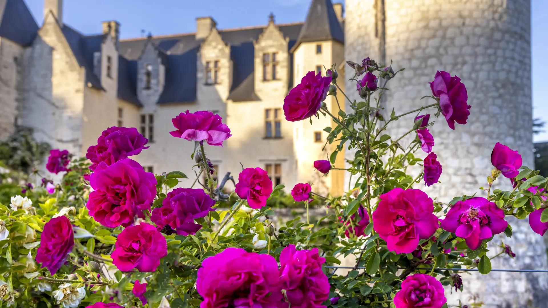 _ChateauduRivau ©cerise BouquetH6A3713©chateauduRivau.D.Darrault