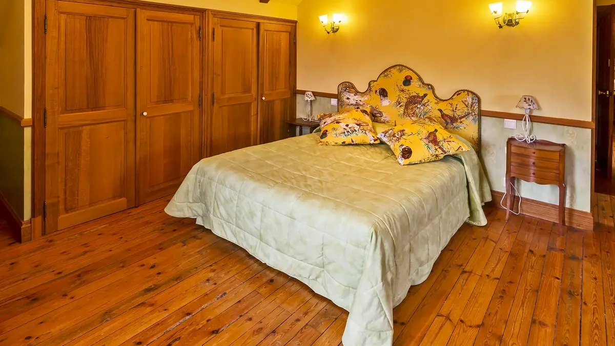 NOYANT DE TOURAINE- CHATEAU DE BROU-villa 5