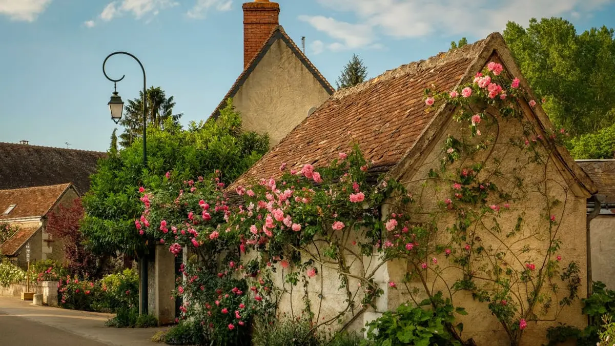 la Cyclo Bohème festival des roses de chedigny