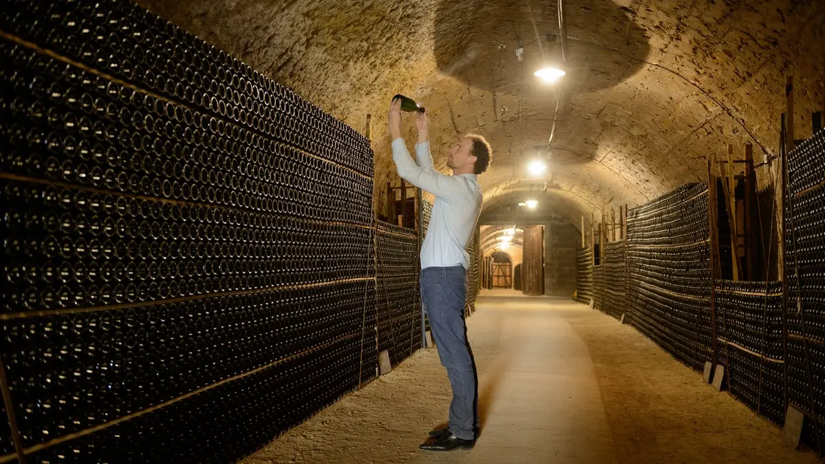 2017 02 - Caves de Valmer et Jean © Leonard de Serres (6)