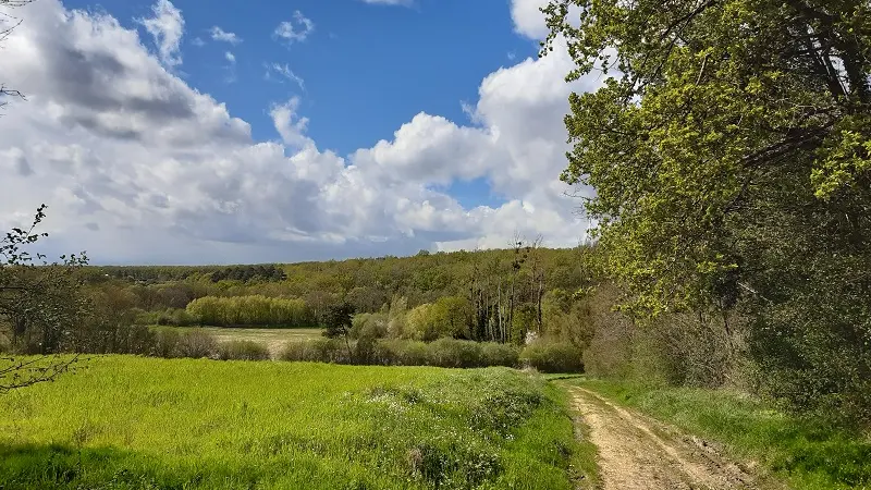 Entre osier et troglos : randonnée de Villaines-les-Rochers.