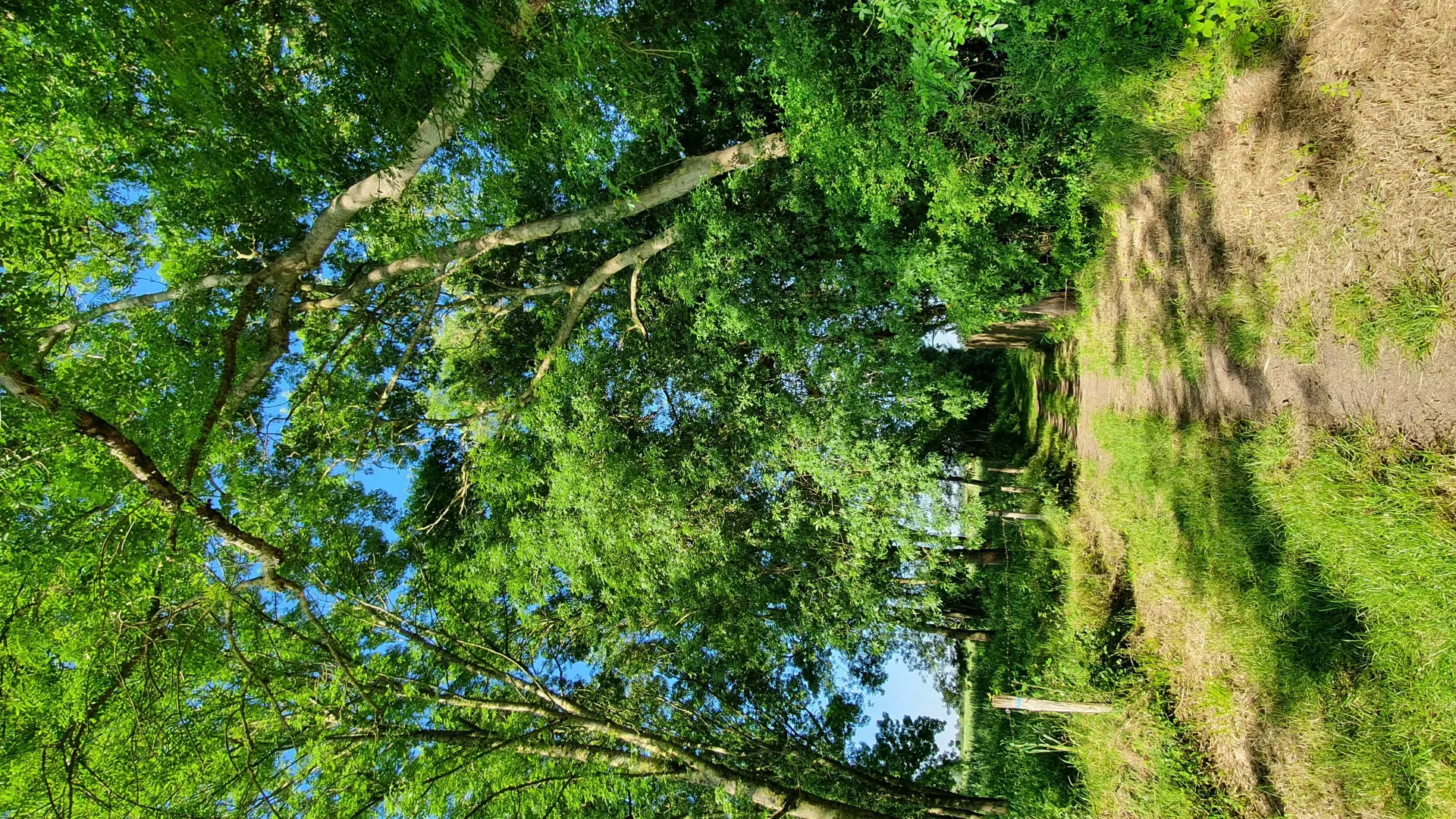 Campagne du Louroux