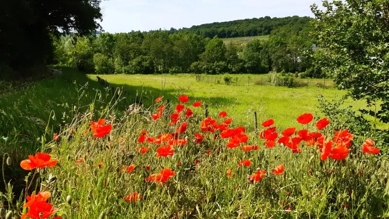 Randonnée pédestre - ENS Val de Choisille