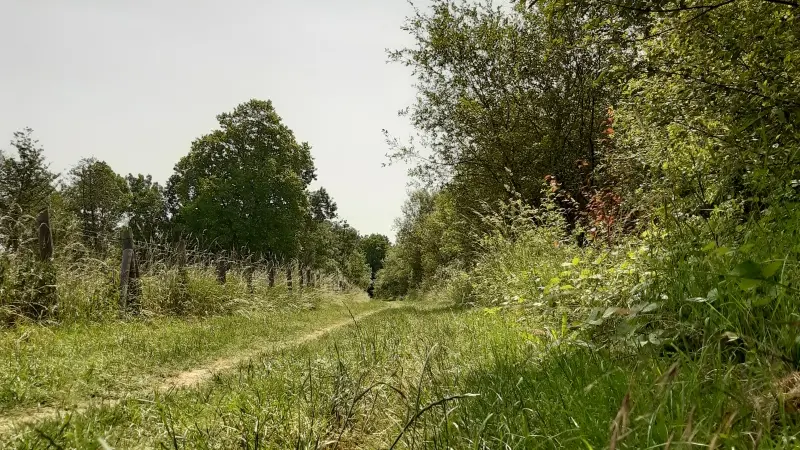 Randonnée pédestre - ENS Val de Choisille