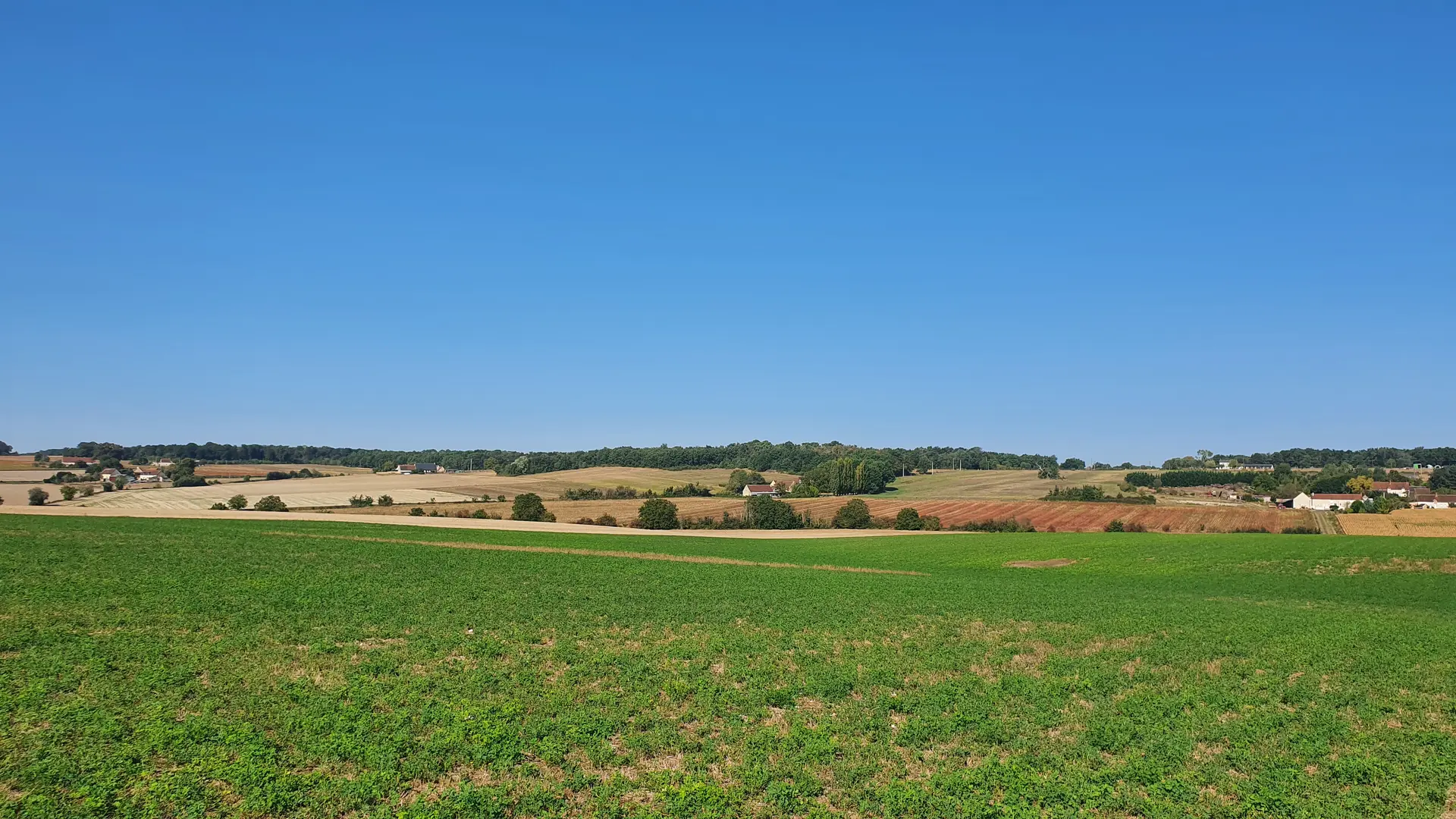 Campagne de la Chapelle-Blanche