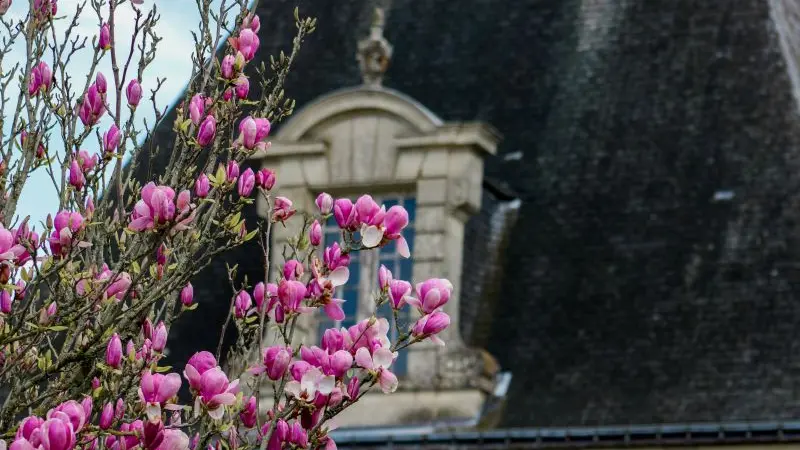 Château d'Azay-Le-Ferron