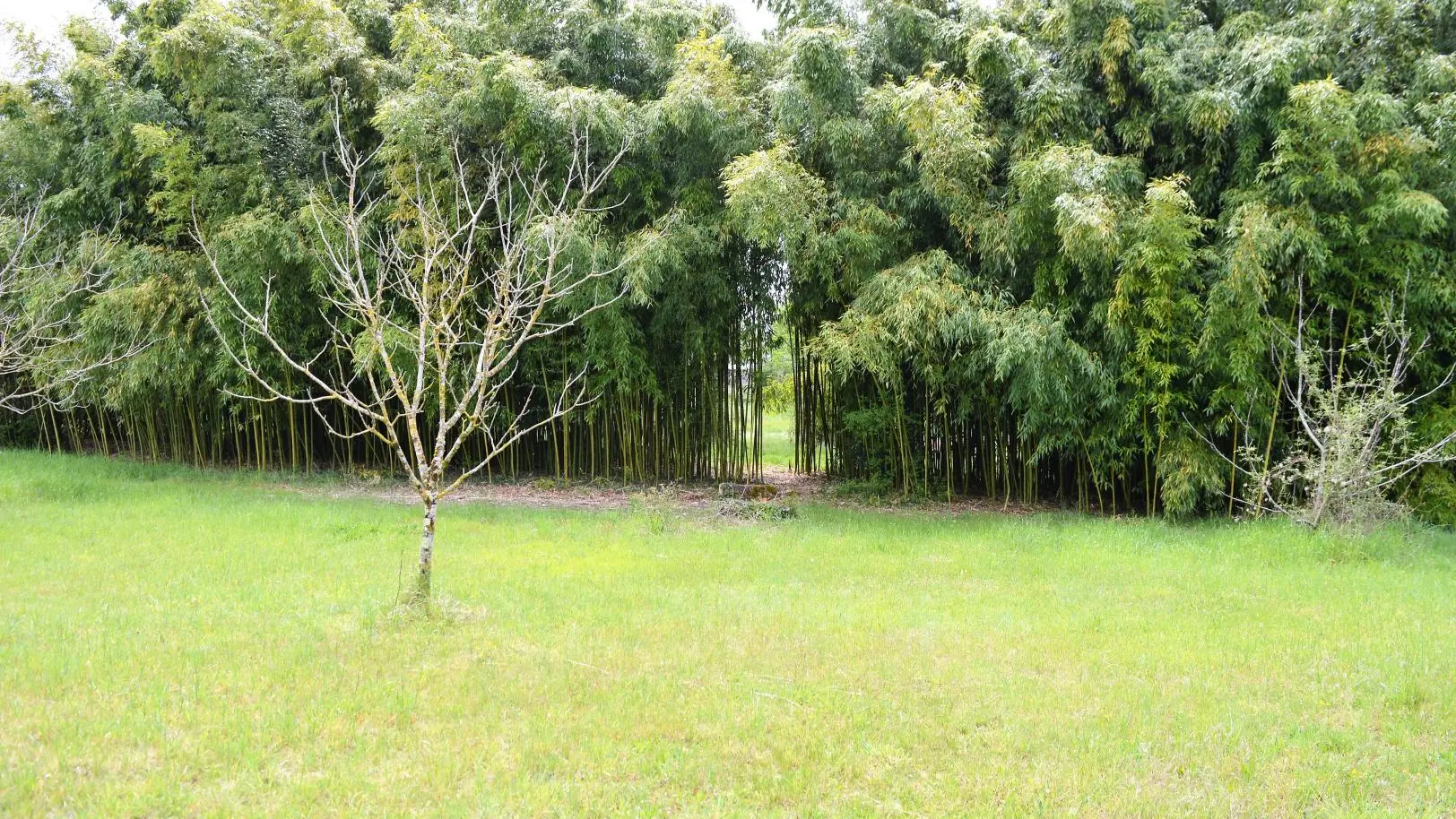 Gîte de l'Ermitage_13