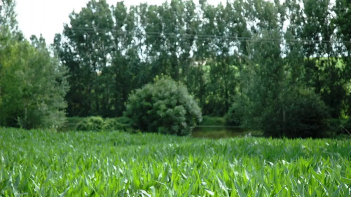 La Source_9