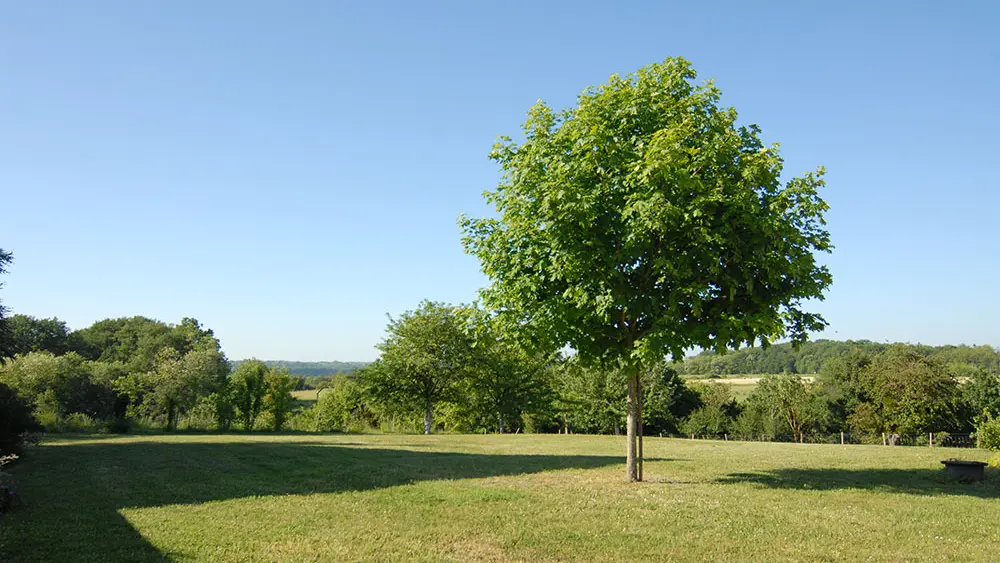 Gîte de la Touche_3