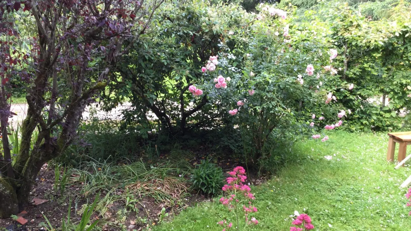 Le Clos Margot_6