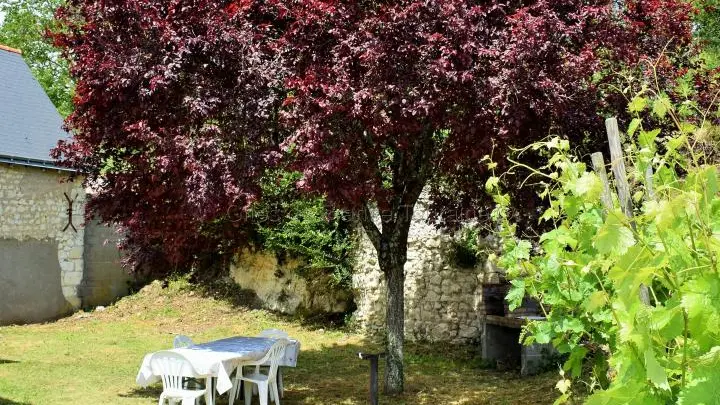 Le Moulin d'Angibault_2