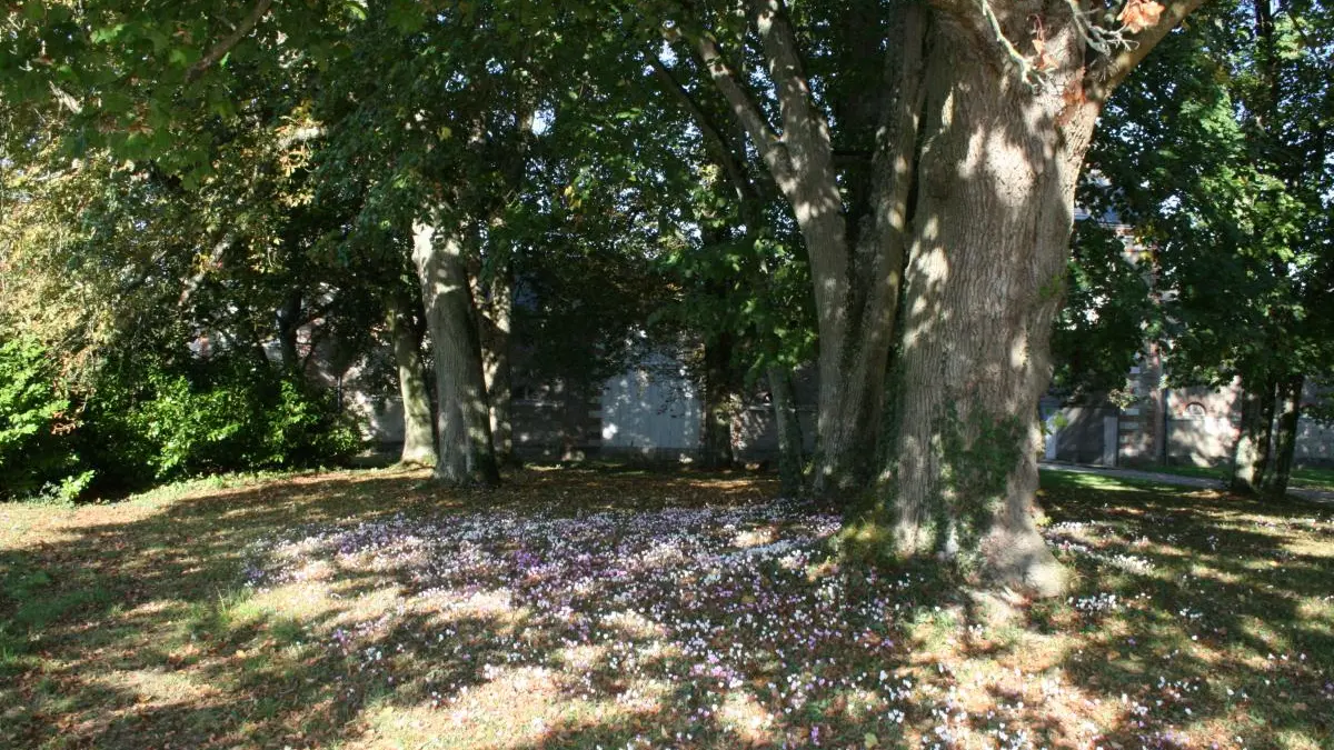 La Fuye_15