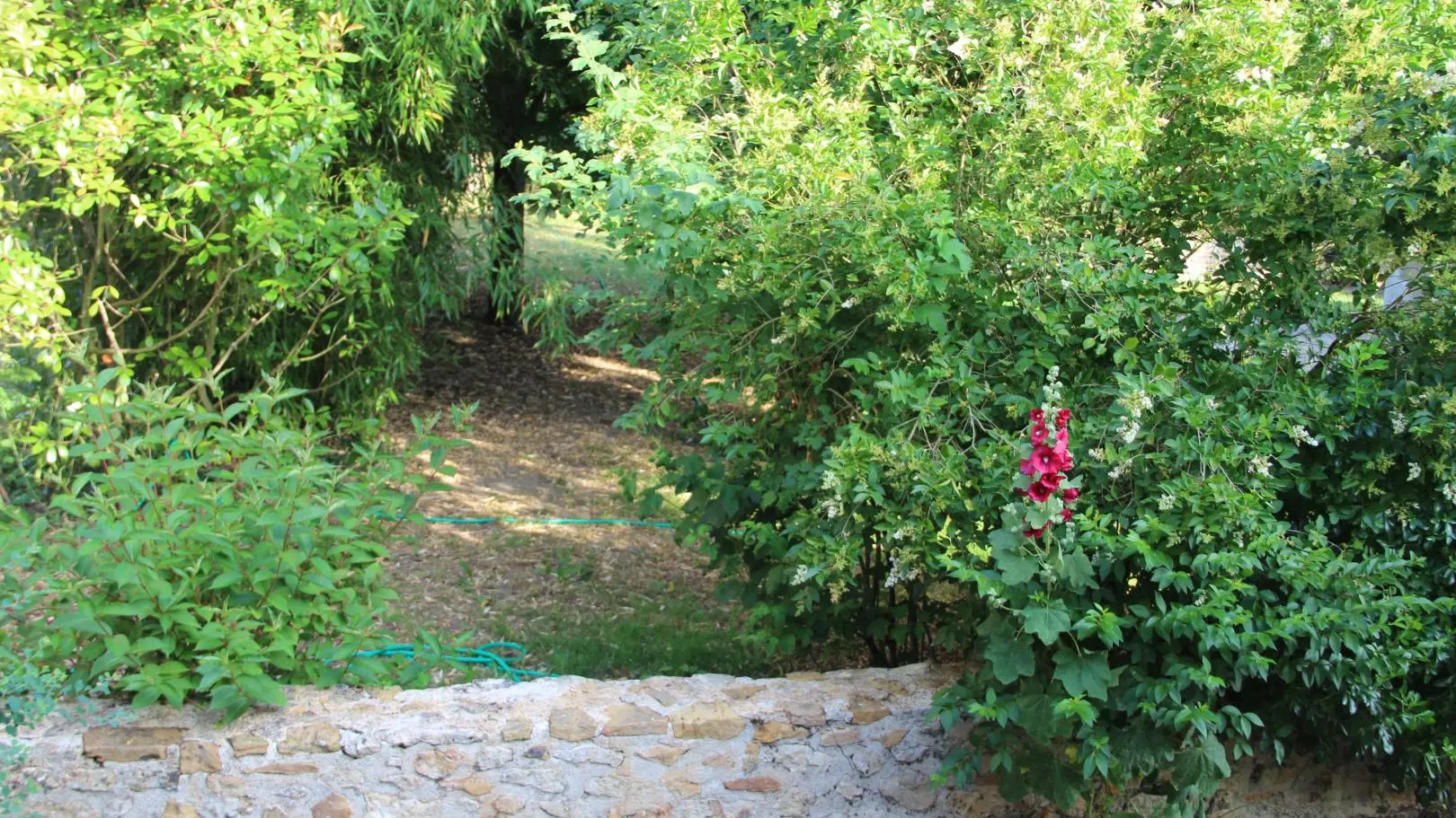 Domaine de L'Ebeaupin_12