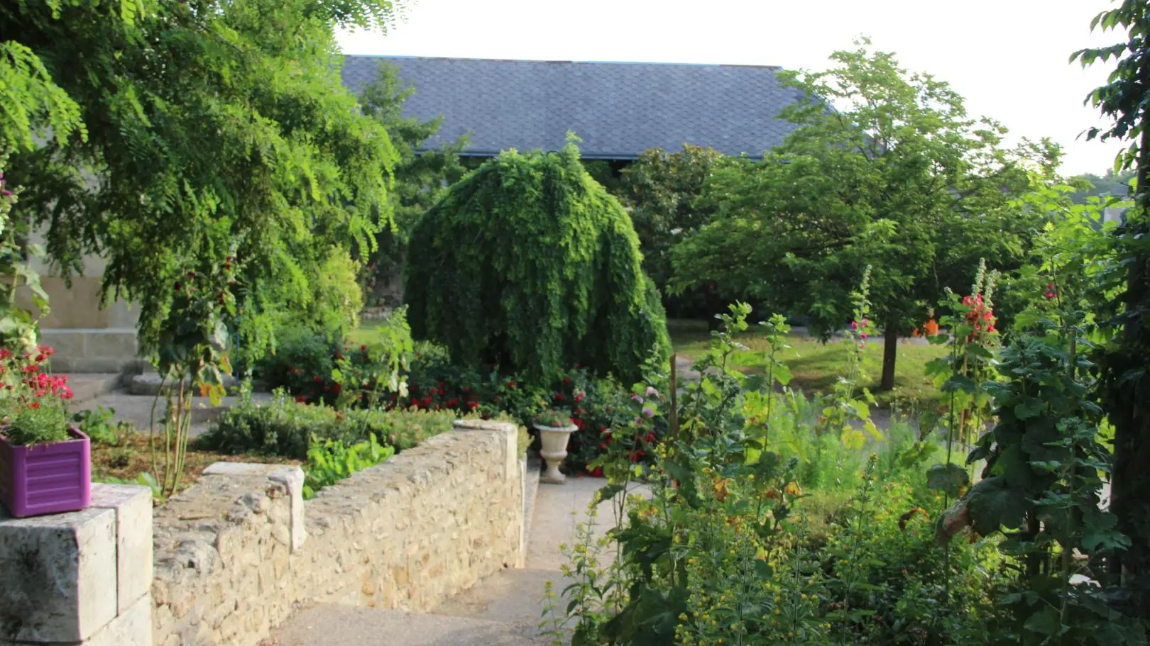 Domaine de L'Ebeaupin_10