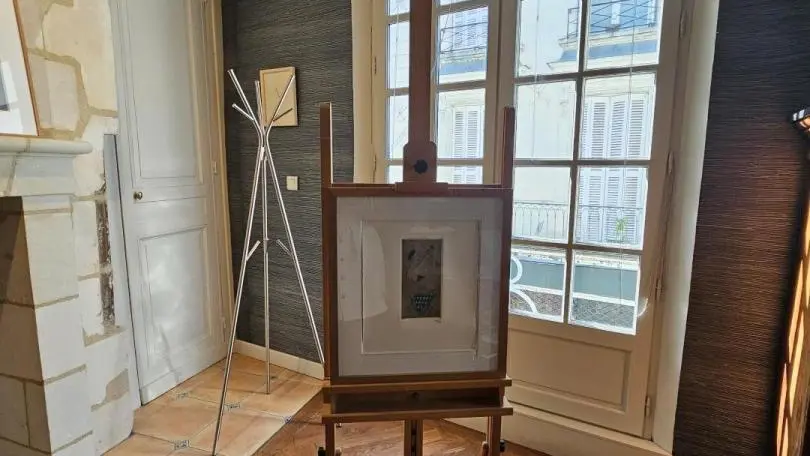 Au coeur du Tours Historique_5