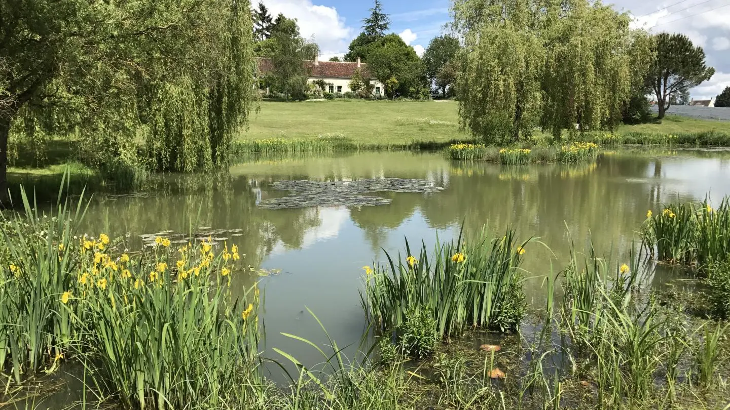 Gîte du Château Rouge_6