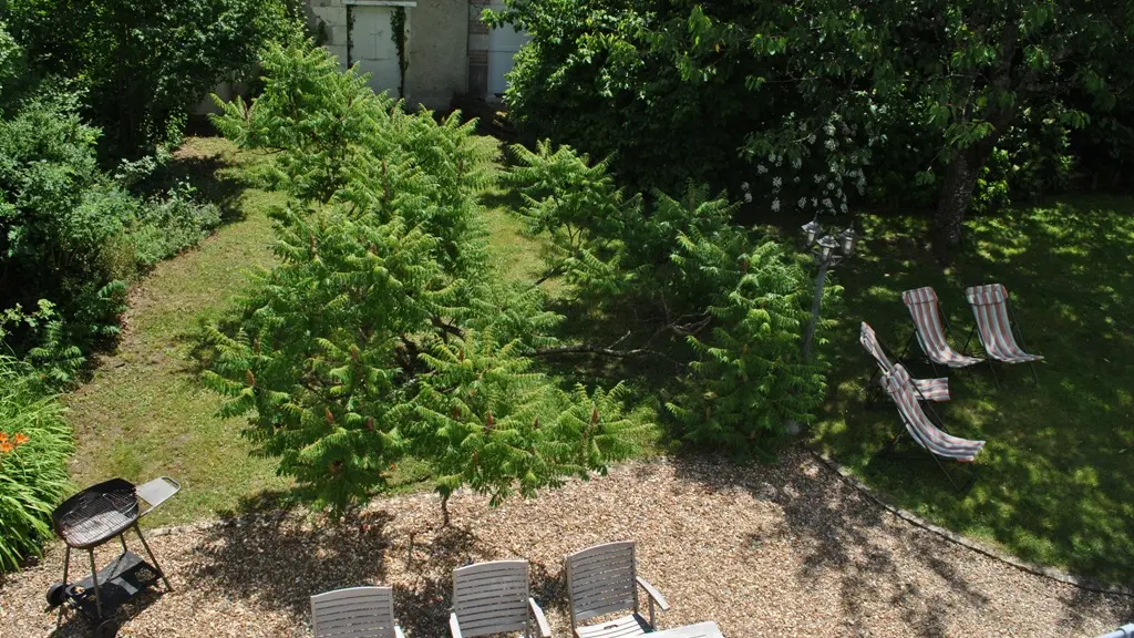 La Maison du Jardinier_15