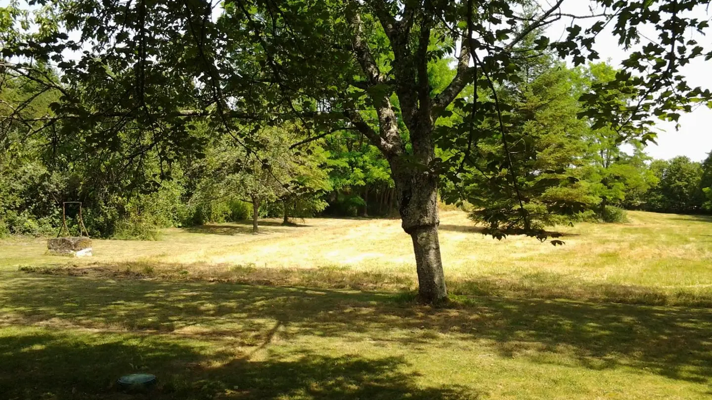 La Maison du Jardin_4