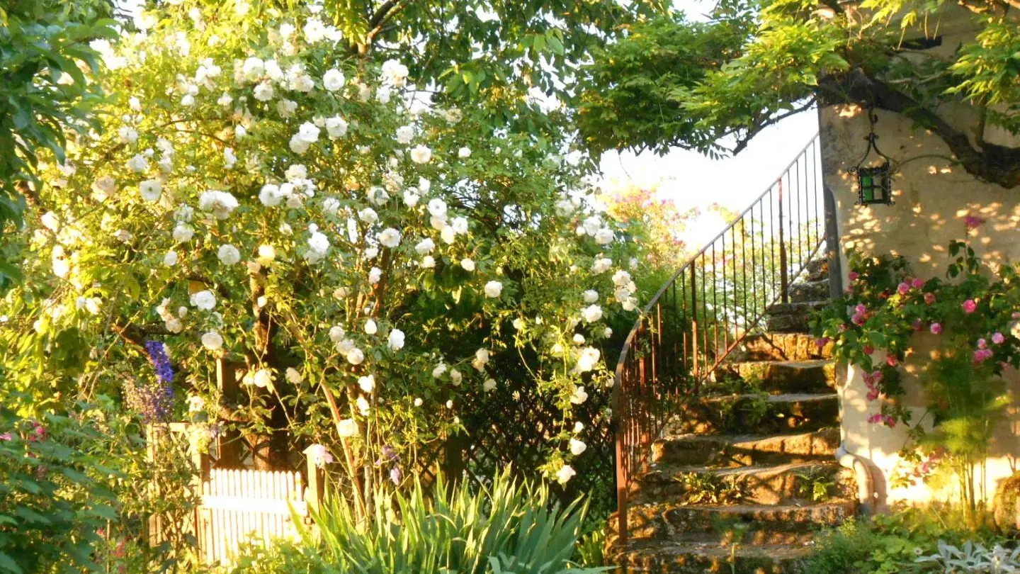 La Roselière_13