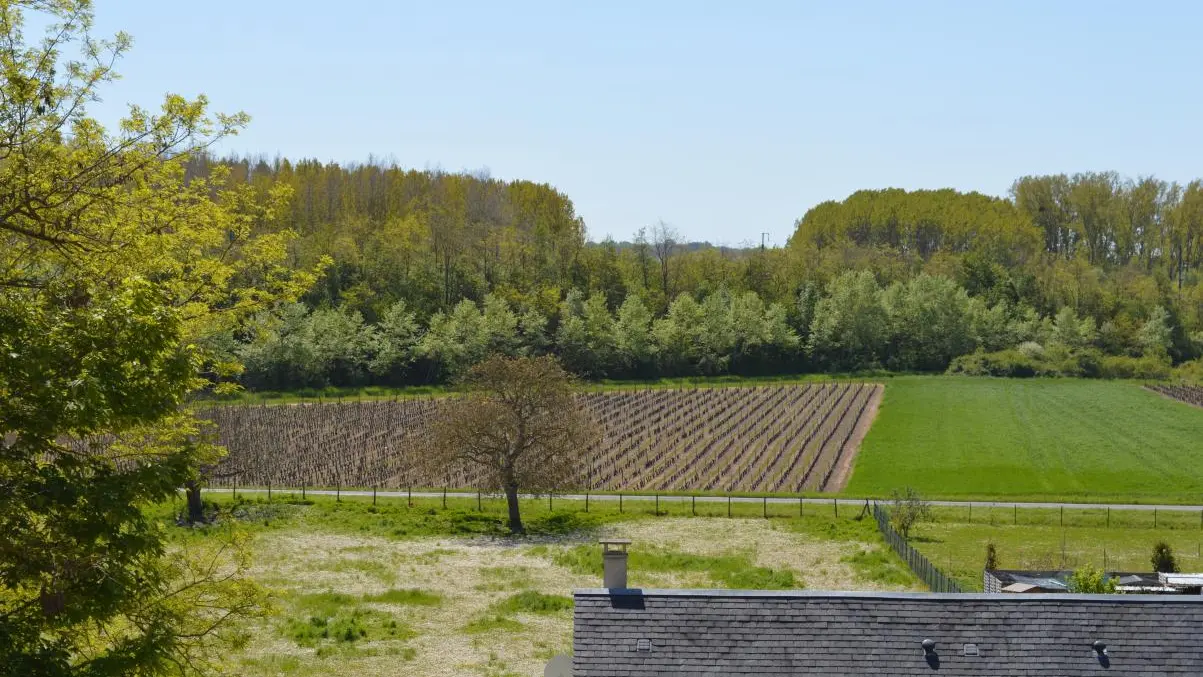 Du Domaine Darragon_13