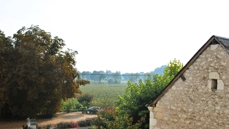 Le petit gîte de Sonnay_12