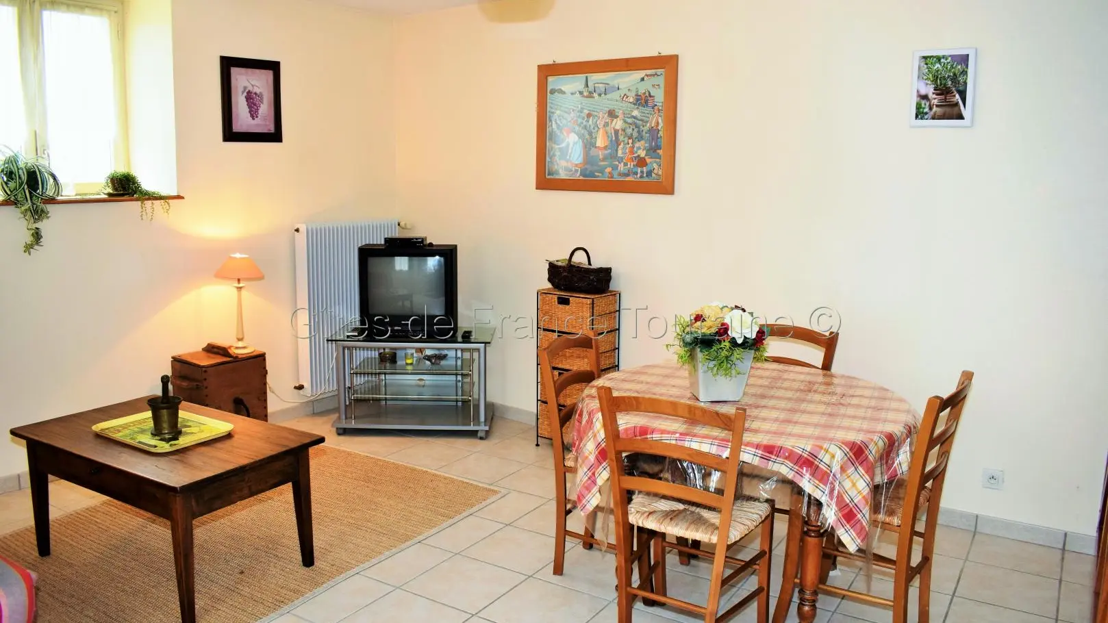 Le petit gîte de Sonnay_4