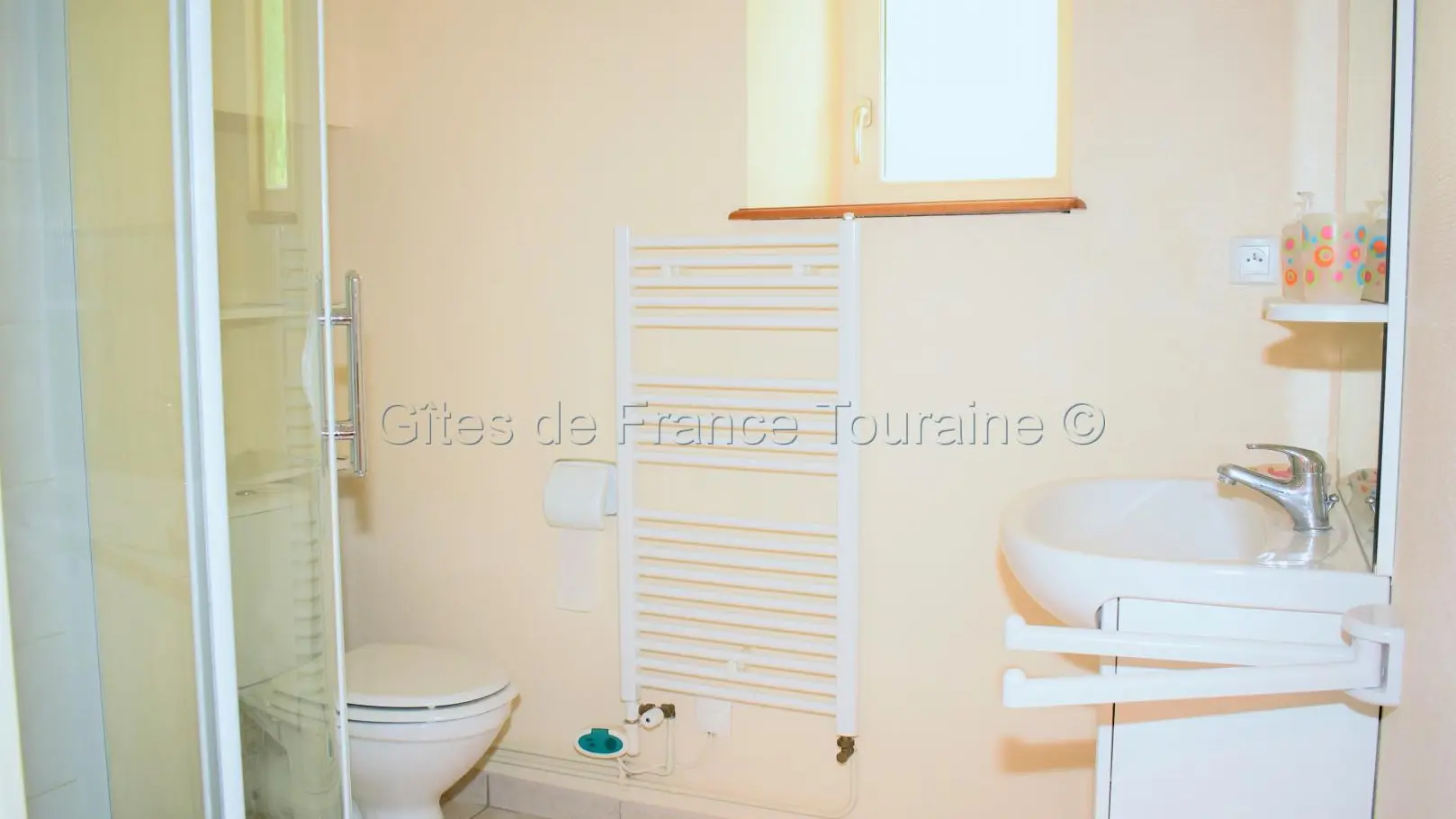 Le petit gîte de Sonnay_11