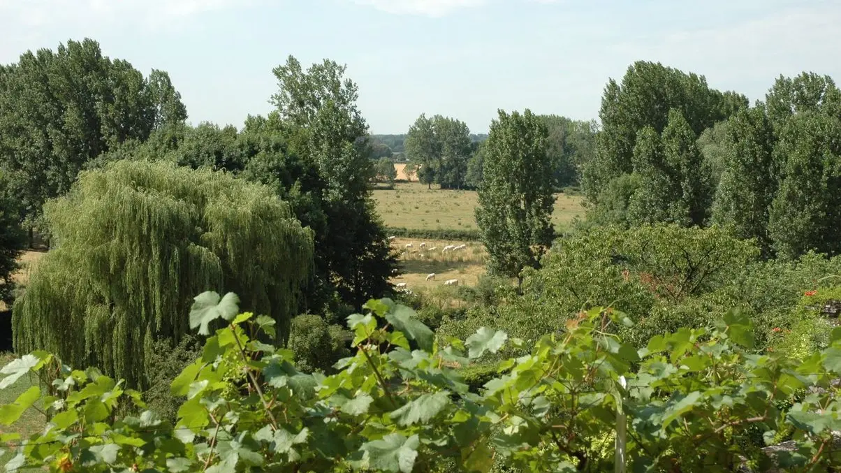 La Closerie du Vieux Pressoir_9