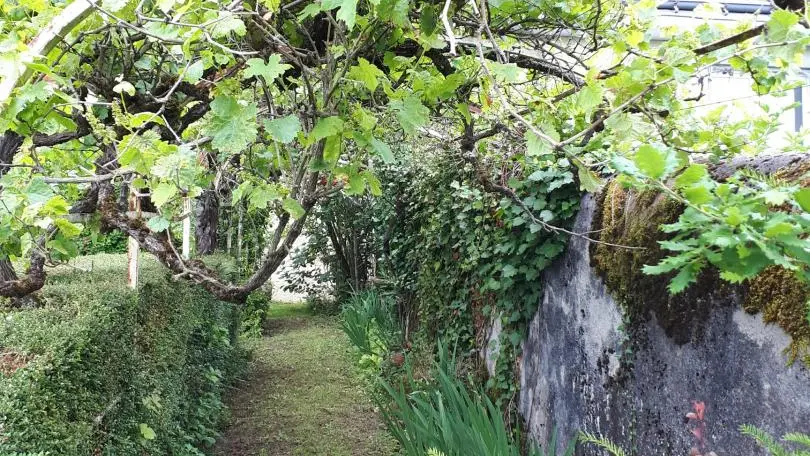 La Closerie du Vieux Pressoir_12